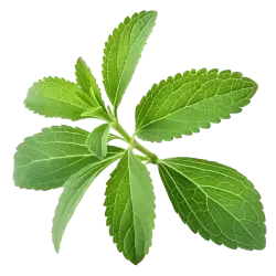 Imagen PNG para descargar